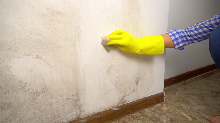Best Crawl Space Mold Remediation  in Ahwahnee, CA
