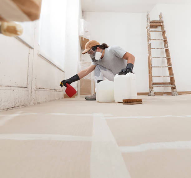 Best Mold Remediation for Healthcare Facilities  in Ahwahnee, CA